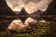Milford Sound by Martin Bisof