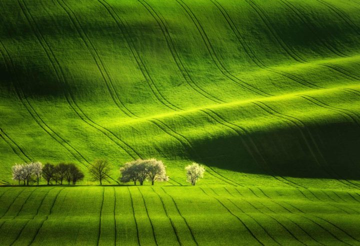 moravian tuscany Martin Bisof photography
